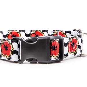 Aloha Dog Collar