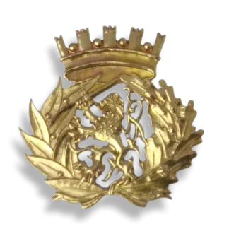 Crachá / Distintivo de boina do Exército