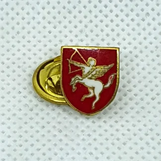 Pin GNR - Brigada de transito
